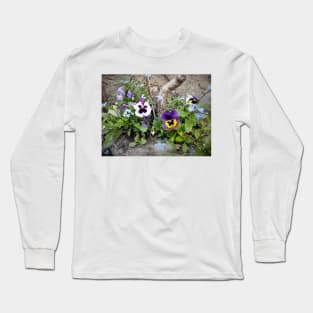 pansies Long Sleeve T-Shirt